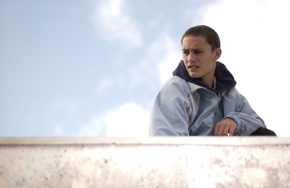 Als Wills neues Büro vom bosnischen Jungen Miro (Rafi Gavron) wiederholt ausgeraubt wird, heftet sich Will an dessen Fersen. Eine Verfolgung mit fa... - Bildquelle: Miramax Films.  All Rights Reserved.