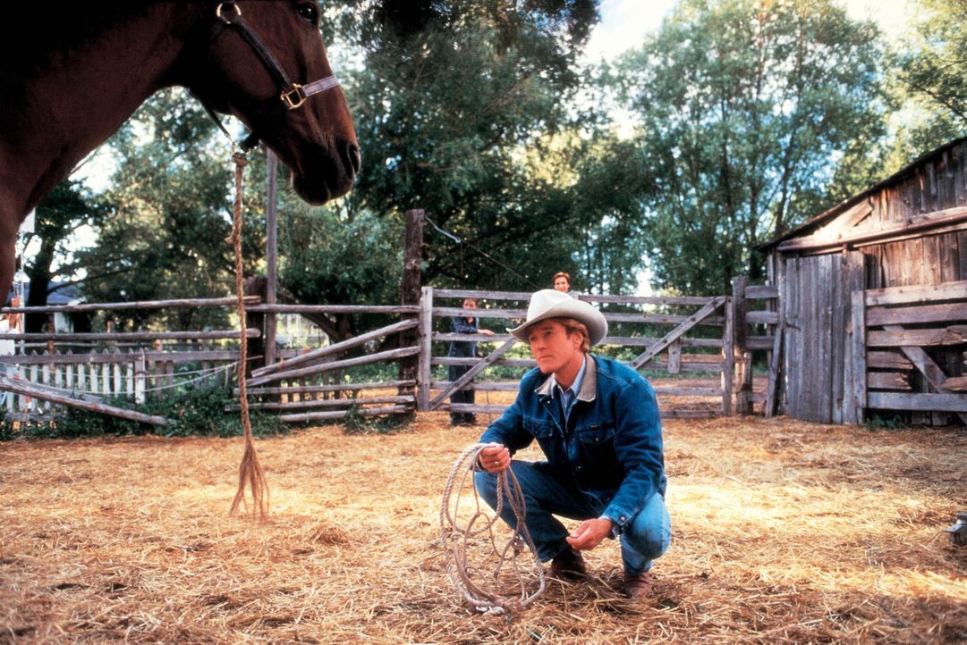 Der "Pferdeflüsterer" Tom Booker (Robert Redford) gibt sich alle Mühe, um das verstörte Pferd Pilgrim zu heilen ... - Bildquelle: Touchstone Pictures