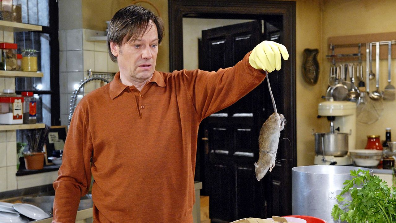 anna-und-die-liebe-Folge-204-01-SAT1-Christoph-Assmann - Bildquelle: Sat.1/Christoph Assmann