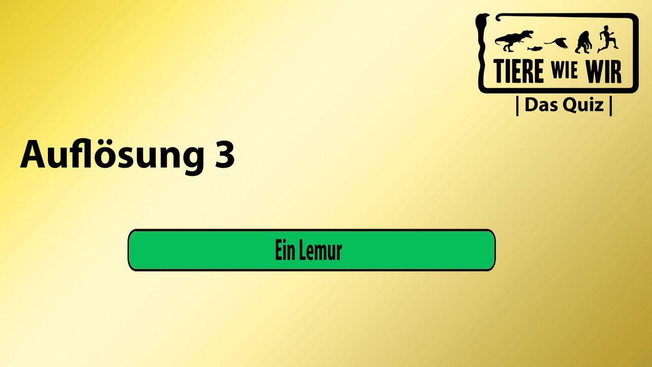 3_Auflösung_Sound
