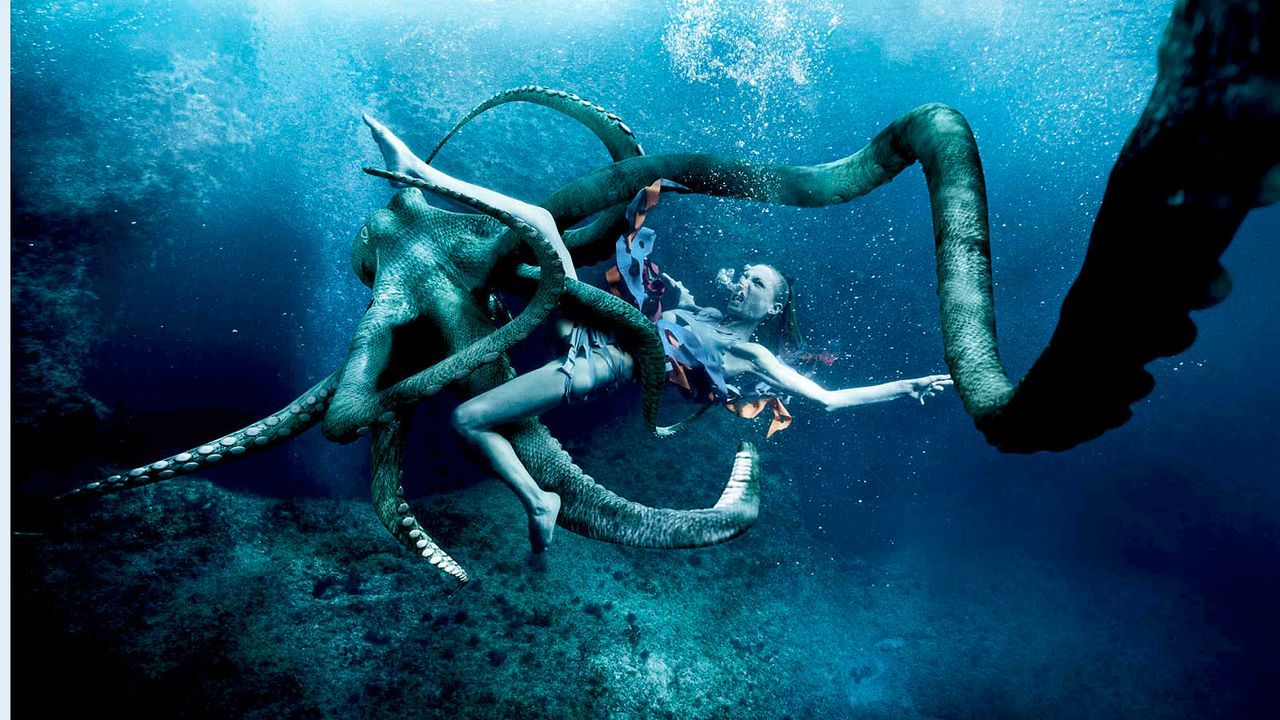 MDM-Kroatien-Octopus-Sandy-01-SAT1-Oliver-Gast - Bildquelle: SAT.1/Oliver Gast
