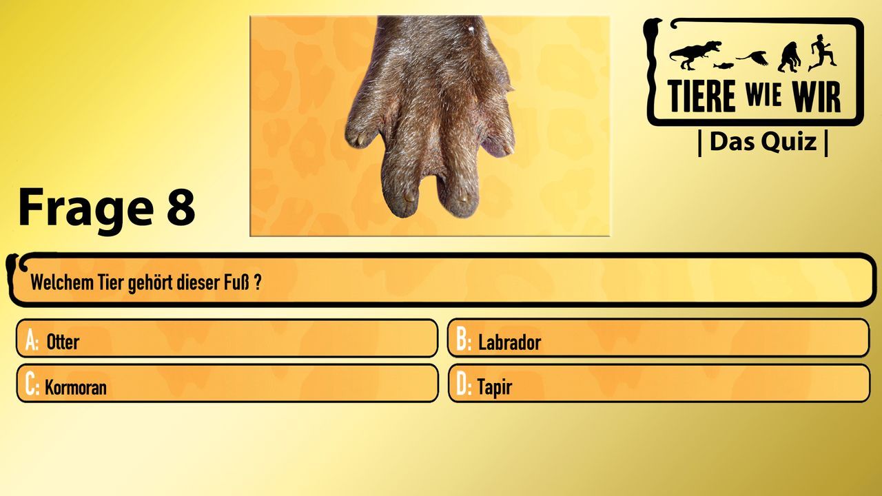 8_Frage