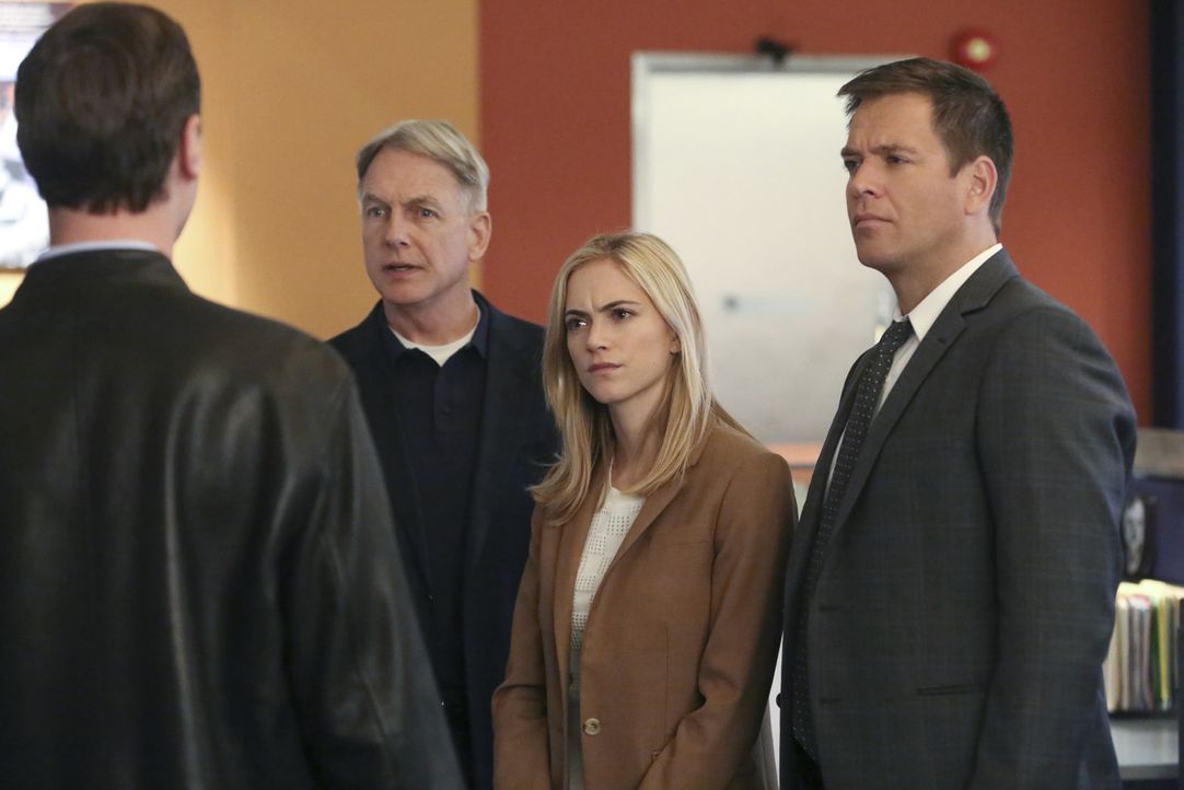 Als ein Soldat ermordet wird, müssen Gibbs (Mark Harmon, 2.v.l.), McGee (Sean Murray, l.), Bishop (Emily Wickersham, 2.v.r.) und Tony (Michael Weath... - Bildquelle: Patrick McElhenney CBS Television