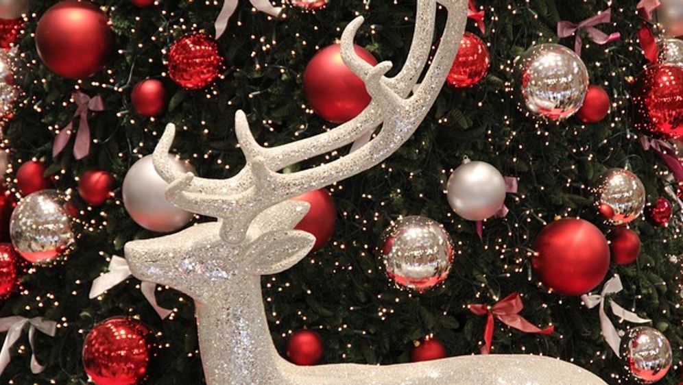 Terrassentreppe Bauen Anleitung Von Hornbach