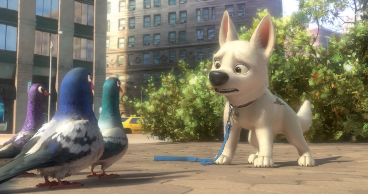 Können die drei Tauben Bolt (r.) erklären, warum er auf einmal keine Superkräfte mehr hat? - Bildquelle: Disney Enterprises, Inc.  All rights reserved