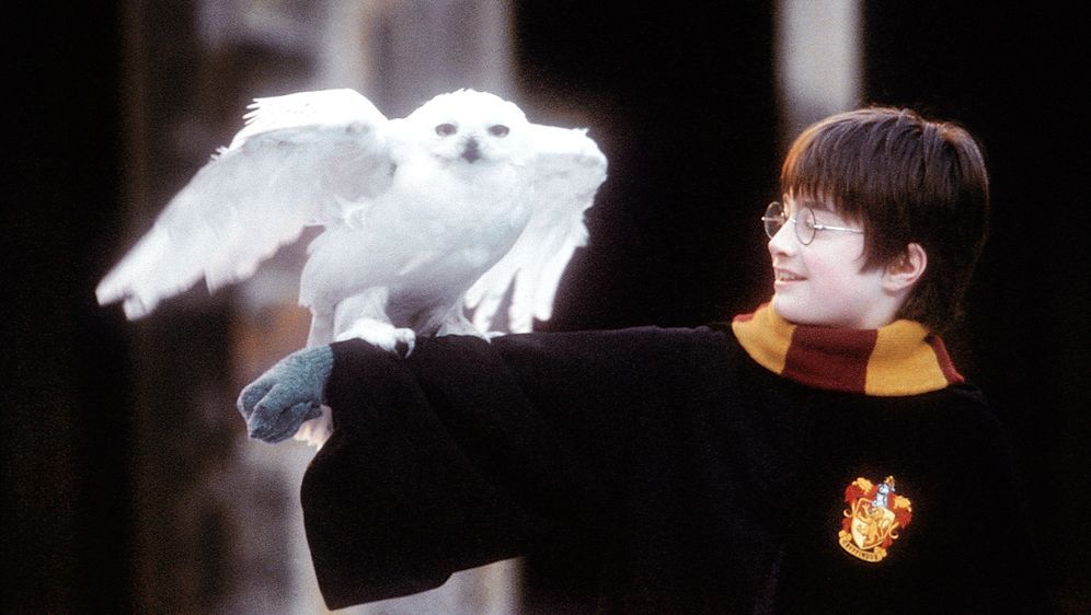 Harry Potter und der Stein der Weisen - Bildquelle: Warner Bros. Pictures