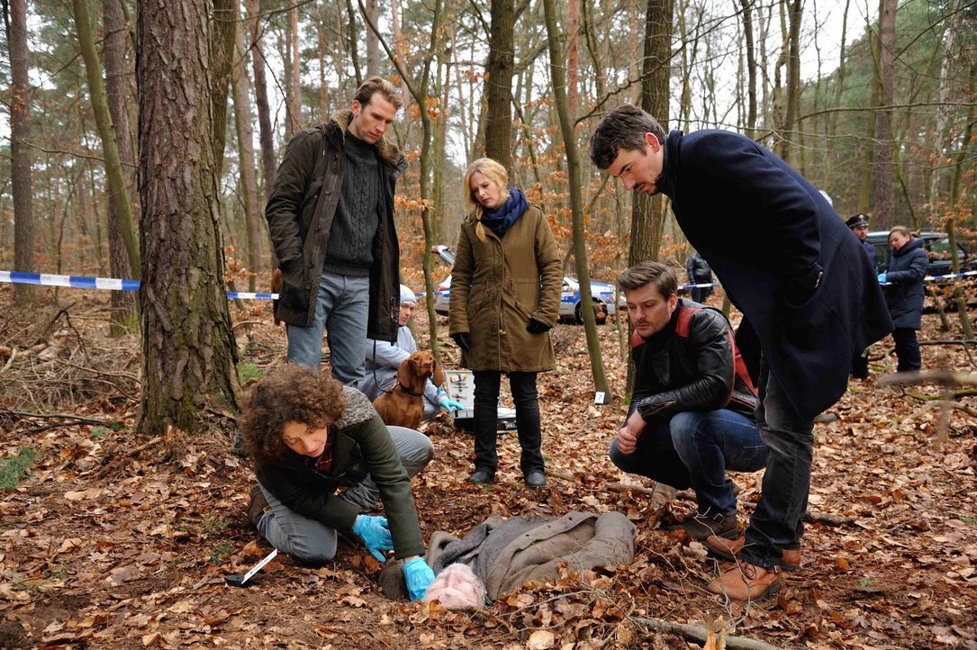Gustav Sobek (Tillbert Strahl, 2.v.l.) entdeckt im Wald einen toten Obdachlosen. Josephine (Diana Amft, M.), Fritz (Matthi Faust, 2.v.r.), Alexander... - Bildquelle: Hardy Spitz SAT.1