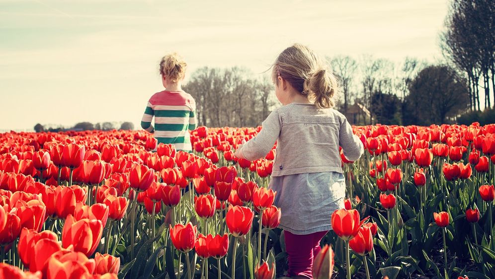 Kindgerechter Garten Die Richtigen Gerate Sat 1 Ratgeber