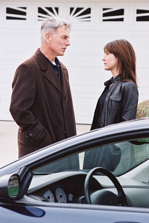 Ein neuer Fall bereitet Gibbs (Mark Harmon, l.) und Kate (Sasha Alexander, r.) Kopfzerbrechen ... - Bildquelle: CBS Television