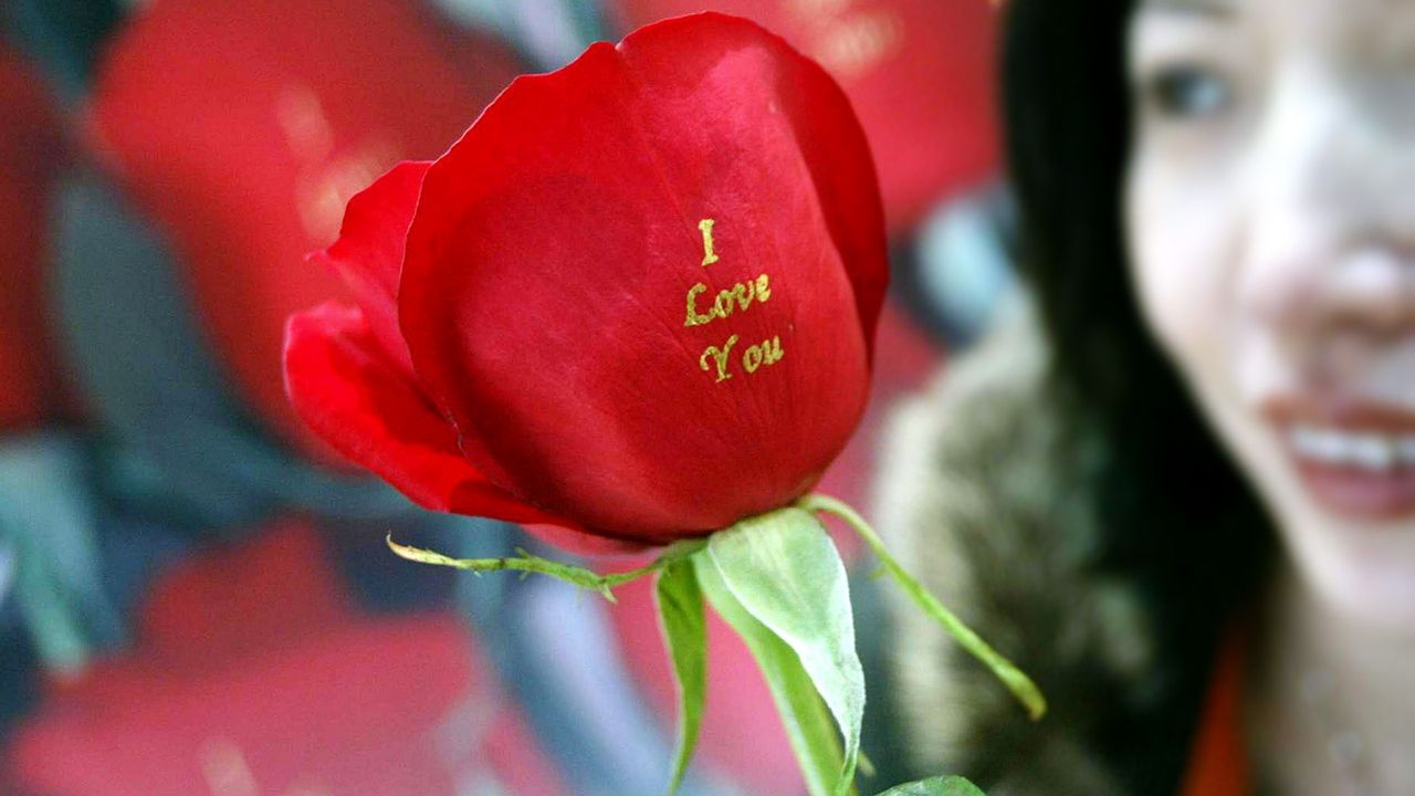 rose-i-love-you-05-02-13-AFP - Bildquelle: AFP