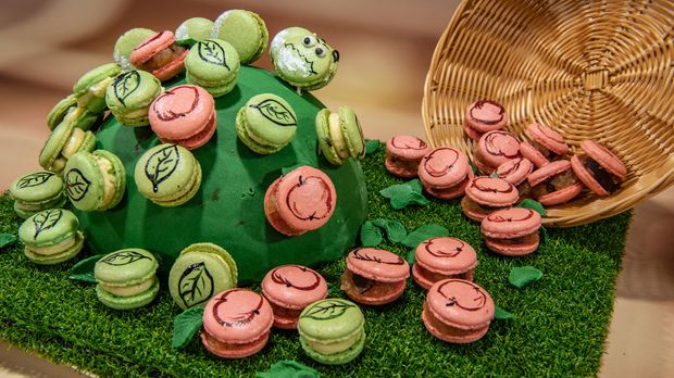 Apfel-Schoko und Limetten-Basilikum Macarons | Das große ...