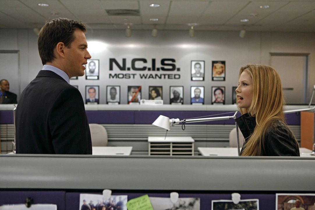 Ermitteln in einem neuen Fall: Tony (Michael Weatherly, l.) und NCIS Special Agent Erica Jane (Sarah Jane Morris, r.) ... - Bildquelle: CBS Television