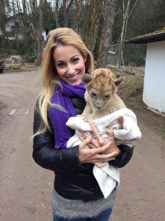 Andrea Kaiser besucht das 6 Wochen alte Löwenbaby Malor im Eifel-Zoo in Lünebach ... - Bildquelle: SAT.1
