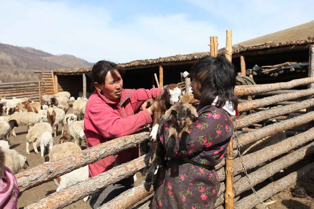 Die 15-jährige Janet Slade (r.) soll in der Mongolei endlich lernen, was es heißt, richtig zu arbeiten ... - Bildquelle: kabel eins