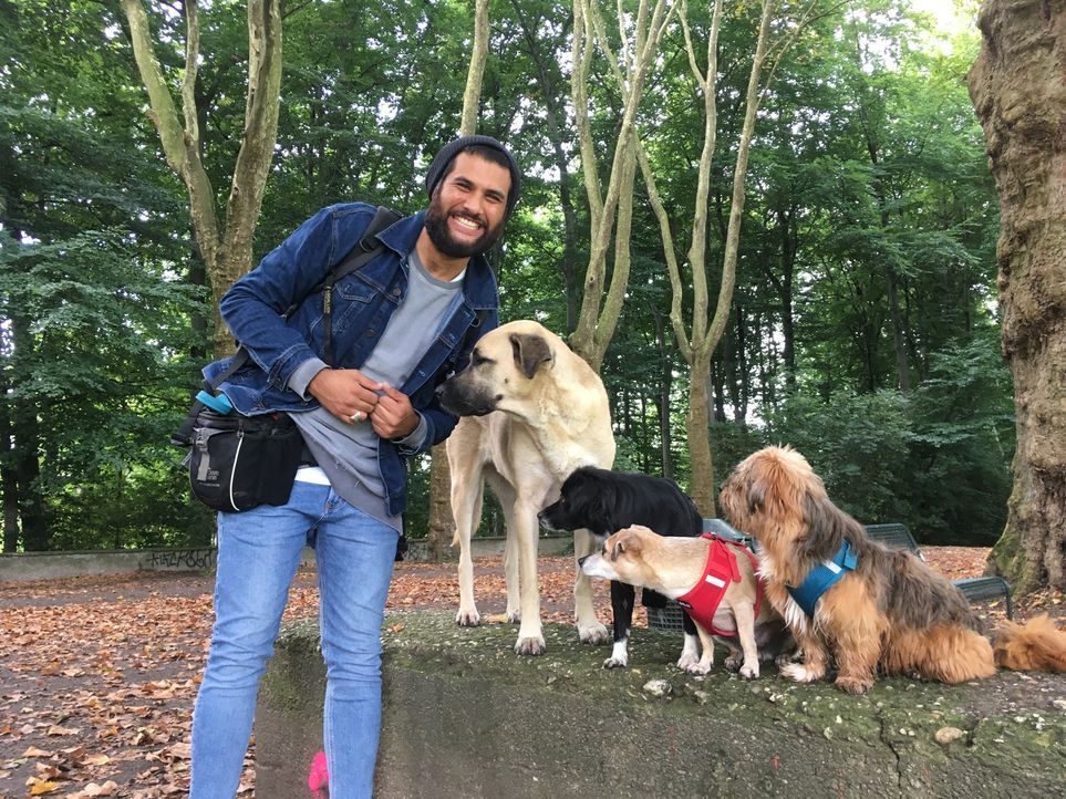 Tierisch hilfreich: Masih Samin (Foto) möchte Hund und Mensch helfen, indem er zusammen mit Sabine Hulsebosch Hunde aus Tierheimen holt und ihnen ei... - Bildquelle: SAT.1
