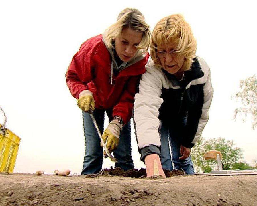 Reporterin Susanne Manz (l.) wagt einen Selbstversuch und arbeitet eine Woche lang als Erntehelferin. Die Chefin (r.) des Hofes im Spreewald zeigt d... - Bildquelle: Sat.1