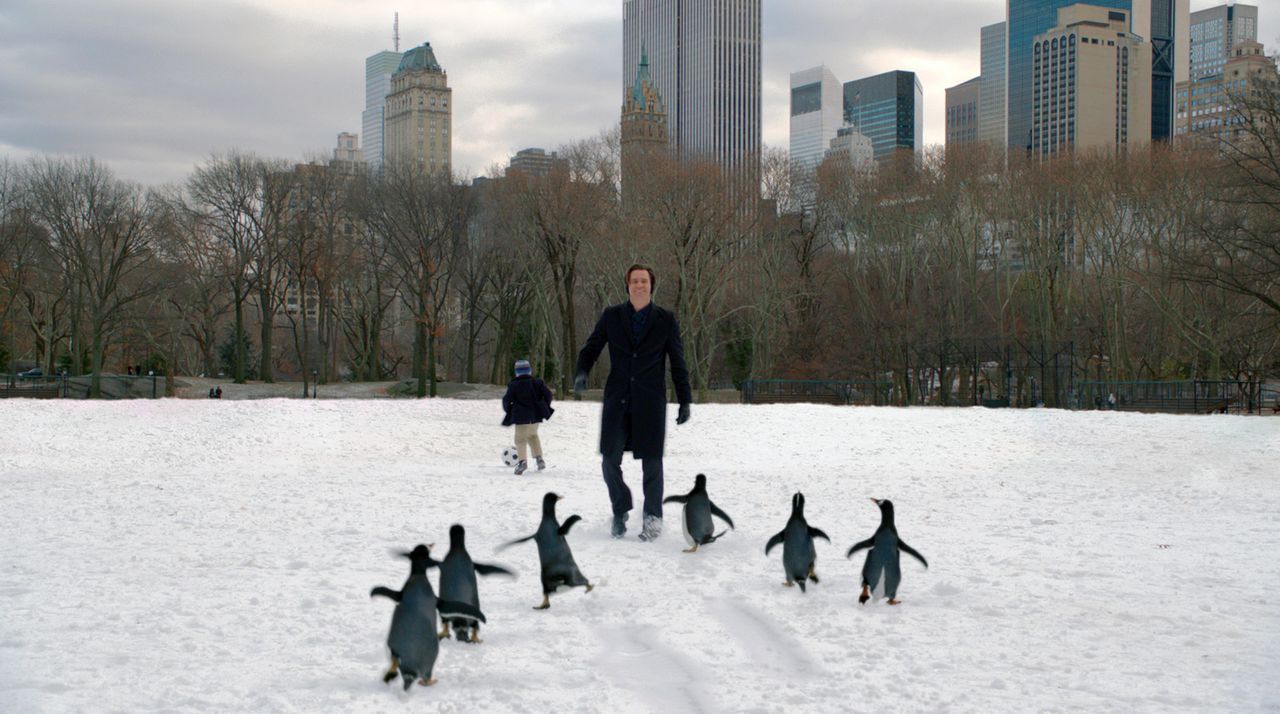 Der Geschäftsmann Tom Popper (Jim Carrey, r.) hat sechs niedliche Pinguine, die sein Leben ordentlich auf den Kopf stellen. Obwohl die kleinen Tier... - Bildquelle: 2011 Twentieth Century Fox Film Corporation. All rights reserved.