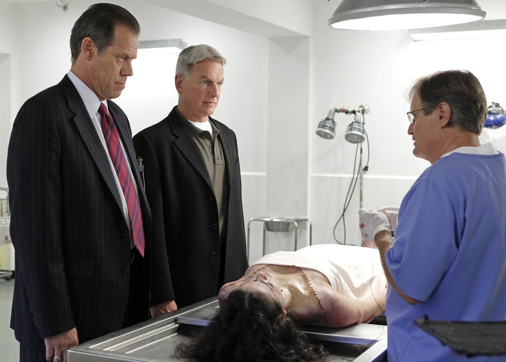 Sorgen dafür, dass kein Fall ungeklärt bleibt: Gibbs (Mark Harmon, 2.v.l.), Ducky (David McCallum, r.) und Metro Detective Danny Sportelli (Jack C... - Bildquelle: CBS Television