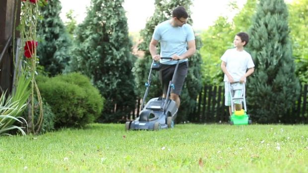 48+ Rasenmäher Eltern Bedeutung, Die eltern „mähen alles platt“