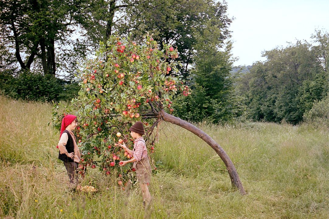 Kasperl (Martin Stührk, l.) und sein Freund Seppel (Manuel Steitz, r.) üben das Jonglieren mit Äpfeln ? - Bildquelle: Constantin Film Produktion GmbH