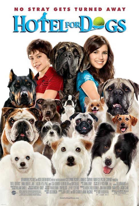 Das Hundehotel - Plakatmotiv - Bildquelle: MMVIII MavroCine Pictures GmbH & Co. KG All Rights Reserved.
