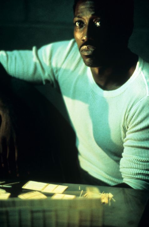 Seit Jahren träumt der ungekrönte Boxchampion des Gefängnisses, Monroe (Wesley Snipes), davon, sich endlich mal mit einem der ganz großen messen... - Bildquelle: Miramax Films