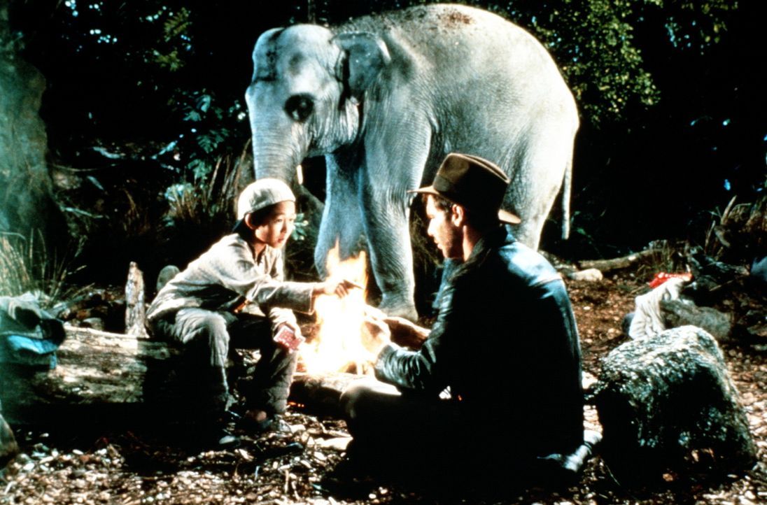 Shorty (Ke Huy Quan, l.) und Indy (Harrison Ford, r.) sind mit ihrem vier-Sterne-Nachtlager im indischen Dschungel, umgeben von Schlangen, Spinnen,... - Bildquelle: Paramount Pictures