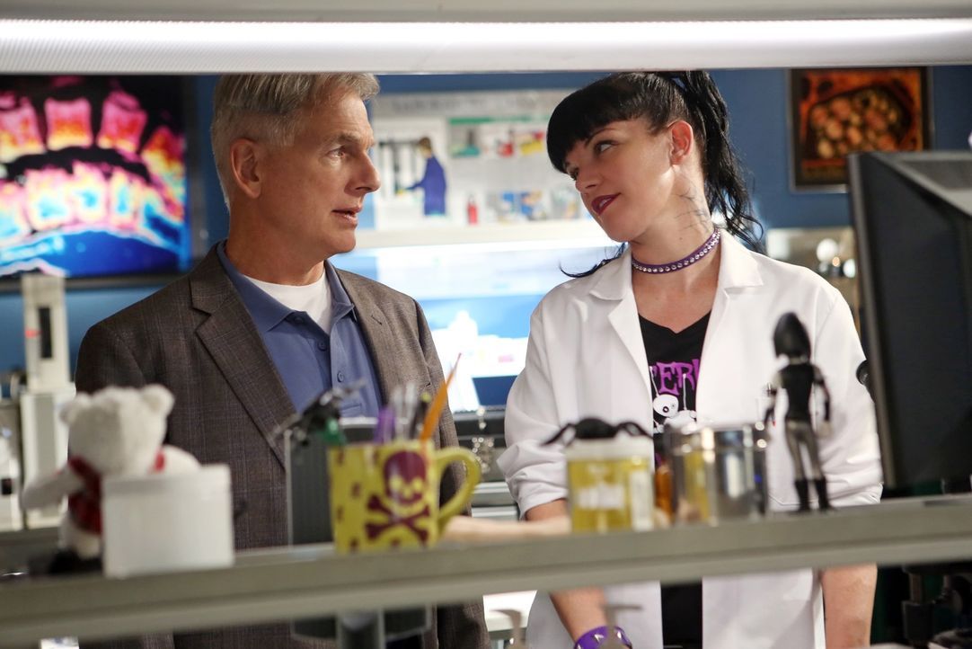 Ermitteln in einem neuen Fall: Gibbs (Mark Harmon, l.) und Abby (Pauley Perrette, r.) ... - Bildquelle: CBS Television