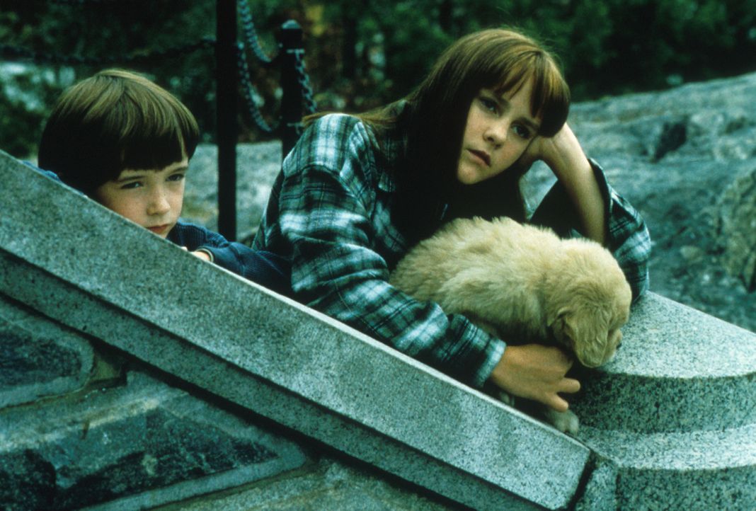 Die beiden Kinder Ben (Liam Aiken, l.) und Anna (Jena Malone, r.) leiden unter der Trennung ihrer Eltern ... - Bildquelle: Columbia Pictures