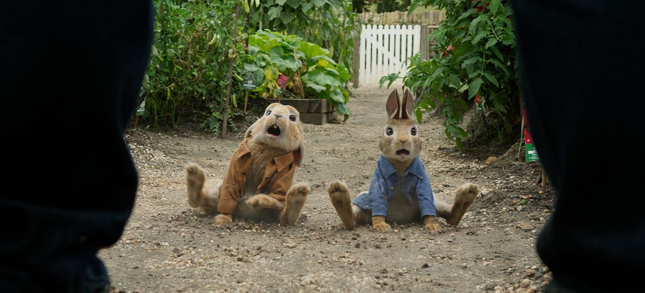 Benjamin (l.); Peter Hase (r.) - Bildquelle: 2018 CPII. All Rights Reserved. PETER RABBIT and all associated characters TM & © FW&Co. Limited.