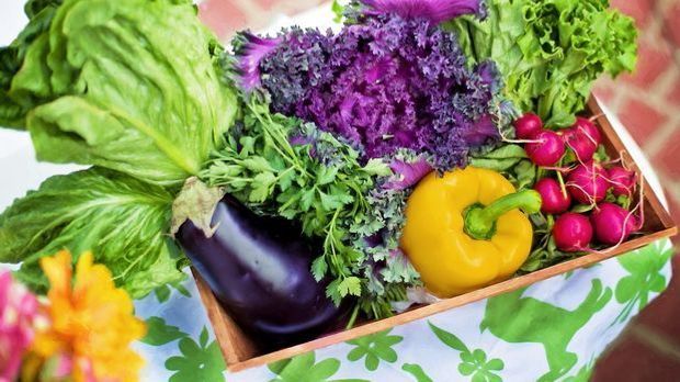 Herrlich bunt und gesund: Salat und Gemüse.