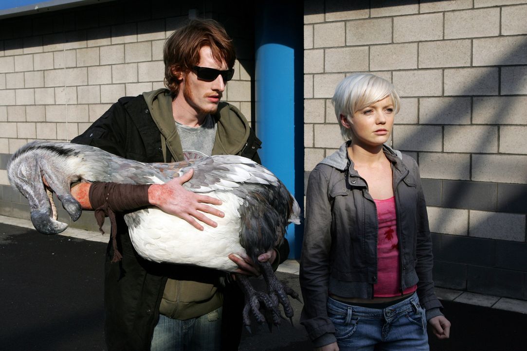 Haben einen Dodo einfangen können, um ihn zu untersuchen: Tom (Jake Curran, l.) und Abby (Hannah Spearritt, r.) ... - Bildquelle: ITV Plc