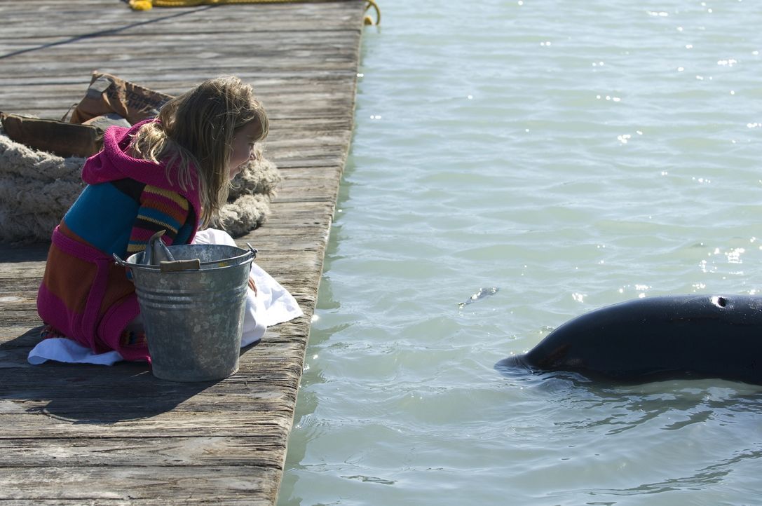 Als Kirra (Bindi Irwin) einen gestrandeten jungen Schwertwal entdeckt, freundet sie sich mit ihm an und gibt ihm den Namen "Willy". Ihr Opa wittert... - Bildquelle: 2009 Warner Brothers