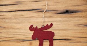 Elch Basteln Tierische Weihnachtsdeko Sat 1 Ratgeber