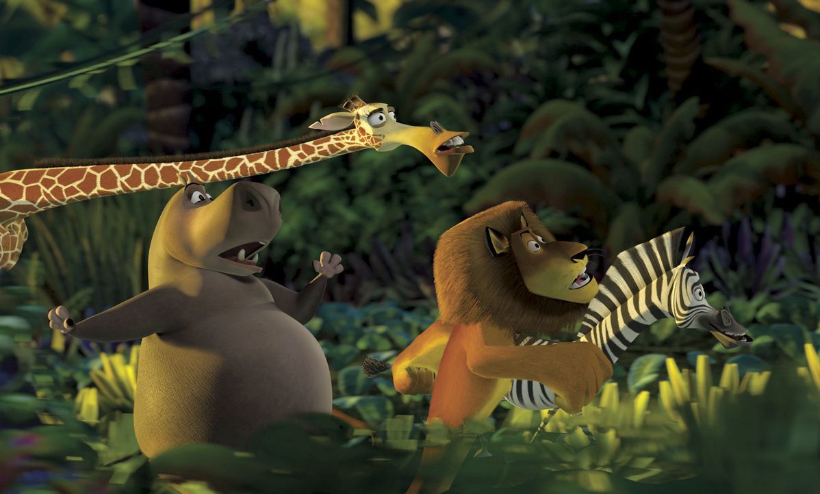 Im Zoo von New York führen Alex, der Löwe, das Zebra Marty, Melman, die Giraffe, und die Nilpferd-Dame Gloria ein beschauliches Leben. Doch als di... - Bildquelle: TM &   2004 DREAMWORKS ANIMATION SKG.