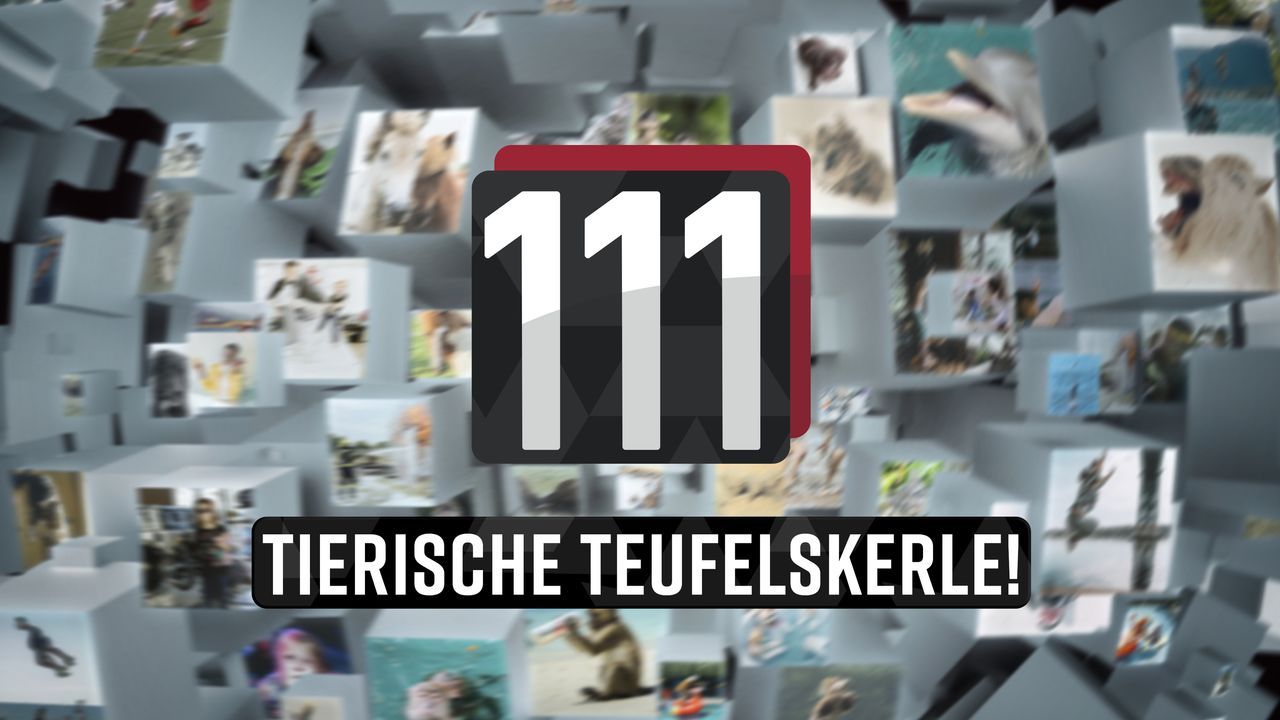 111 tierische Teufelskerle! - Logo - Bildquelle: SAT.1