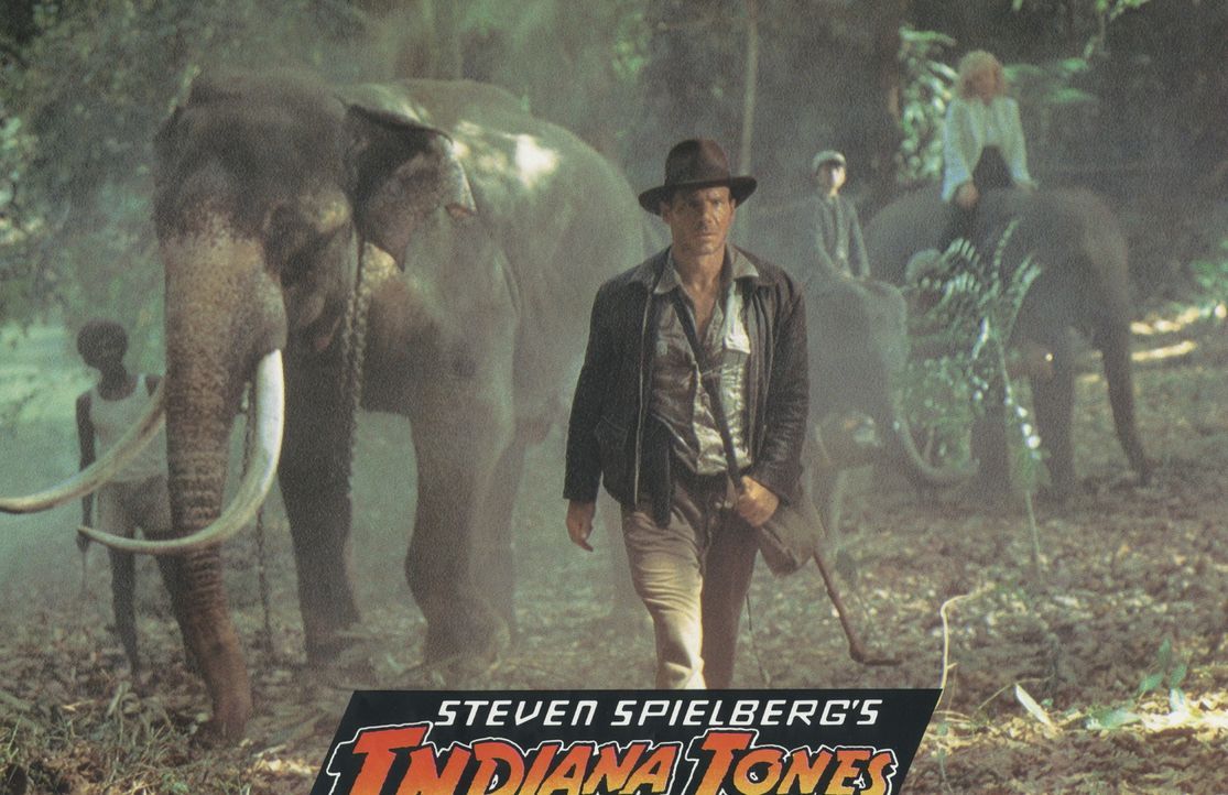 Selbst die Elefanten folgen nur einem: Indiana Jones (Harrison Ford) ... - Bildquelle: Paramount Pictures