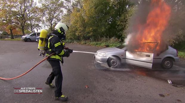 Auf Streife - Die Spezialisten - Auf Streife - Die Spezialisten - Rheingold