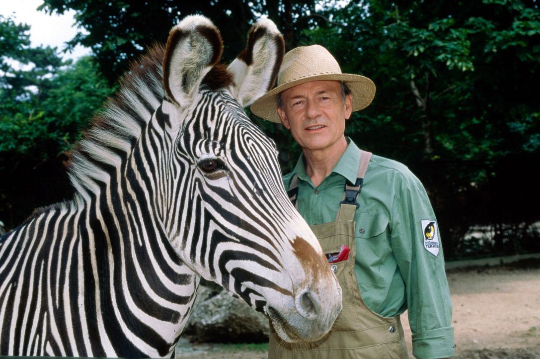 Der Mann mit den 1000 Gesichtern (Joachim Bissmeier) hat sich in den Wiener Zoo geflüchtet ... - Bildquelle: Sat.1