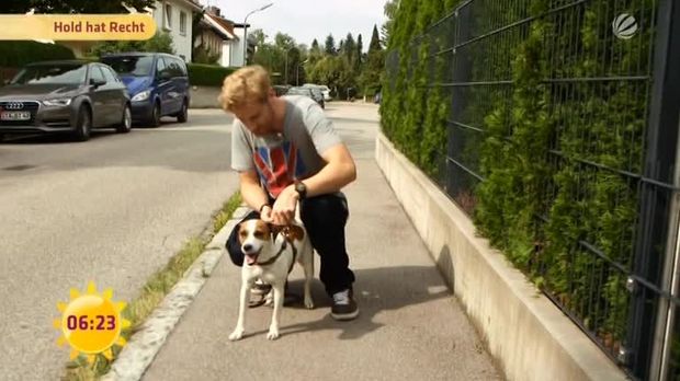 Frühstücksfernsehen - Video - Hold hat Recht: Hunde - Sat.1