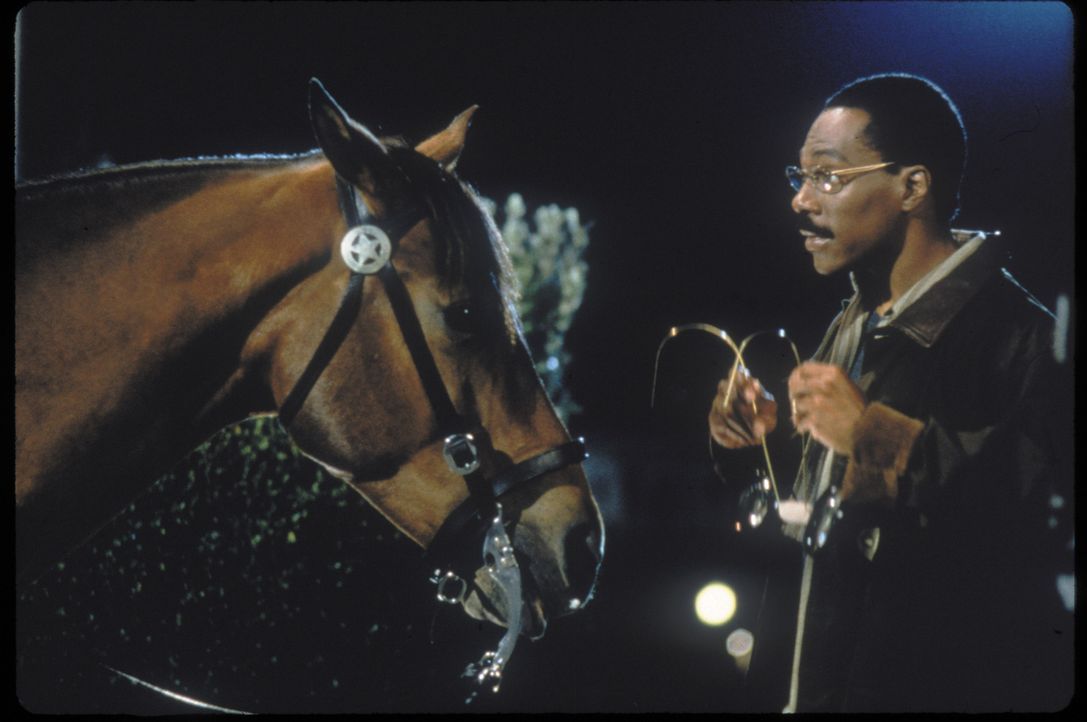 Der Freund der Tiere: Dr. Dolittle (Eddie Murphy) kann ihnen nicht nur medizinischen Beistand geben, sondern auch mit ihnen sprechen ... - Bildquelle: 1998 Twentieth Century Fox Film Corporation. All rights reserved.