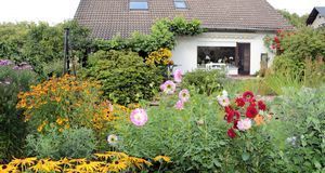 Gartengestaltung_2016_05_10_Herbststauden_Bild 1_fotolia_Krawczyk-Foto