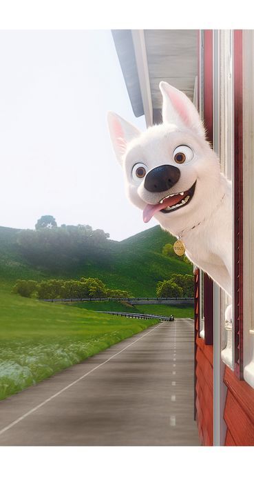 Bolt lernt die wirklich schönen Dinge des Lebens kennen ... - Bildquelle: Disney Enterprises, Inc.  All rights reserved