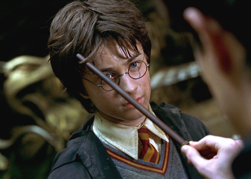 Harry Potter und die Kammer des Schreckens - Bildquelle: Warner Bros. Pictures