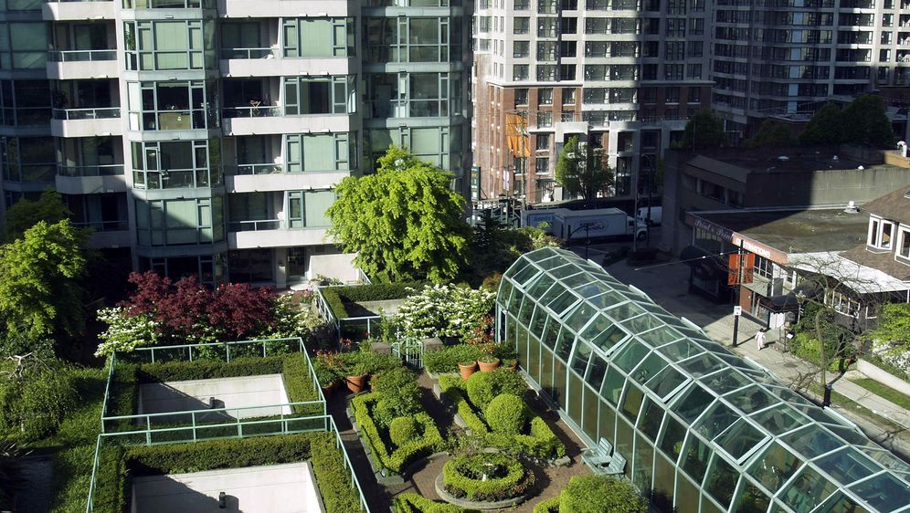 Urban Gardening Tipps zum Gärtnern in der Stadt SAT.1 Ratgeber