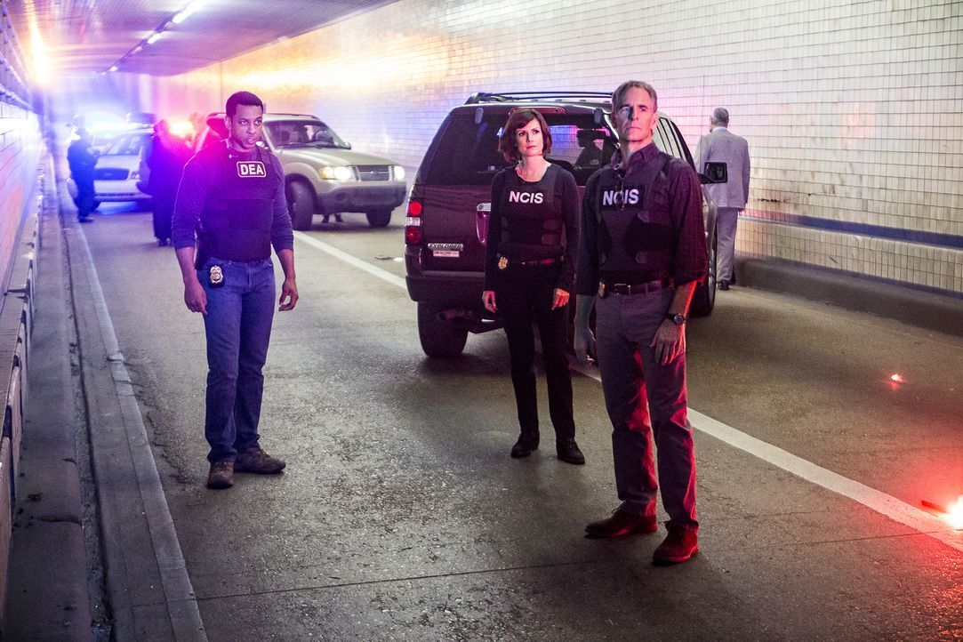 Pride (Scott Bakula, r.), Brody (Zoe McLellan, 2.v.r.) und der Rest des Teams verfolgen die Spur von gestohlenem TNT der Navy zu einem Drogenring, d... - Bildquelle: Skip Bolen 2016 CBS Broadcasting, Inc. All Rights Reserved