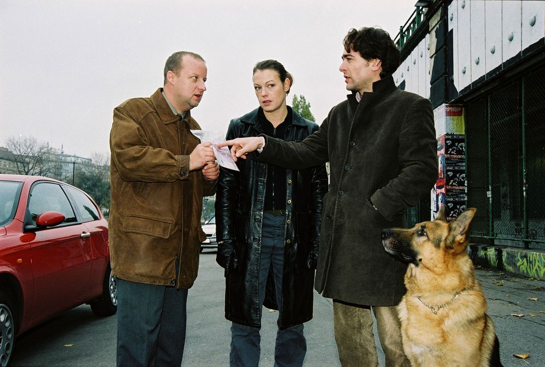 Fritz Kunz (Martin Weinek, l.), Niki (Elke Winkens, M.), Marc (Alexander Pschill, r.) und Rex sind zum Wiener Donaukanal gefahren. Dort wurde eine F... - Bildquelle: Sat.1