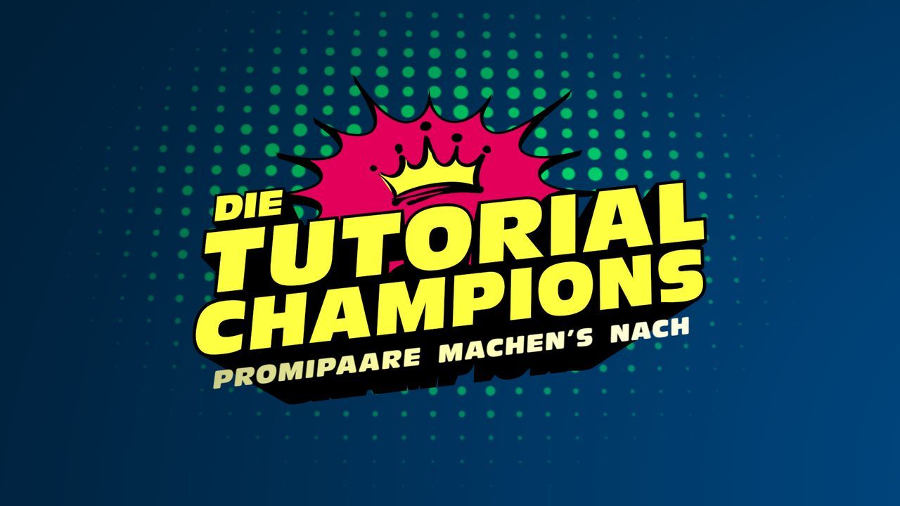 Die Tutorial-Champions - Promipaare machen's nach - Logo - Bildquelle: SAT.1