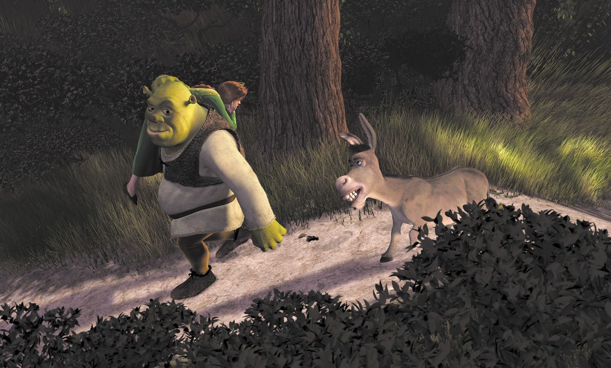 Mit ihrem zickigen Verhalten kommt Prinzessin Fiona (l.) bei Shrek (M.) nicht weit. Er will sie und den sprechenden Esel (r.) so schnell wie möglic... - Bildquelle: TM &   2001 DreamWorks L.L.C.