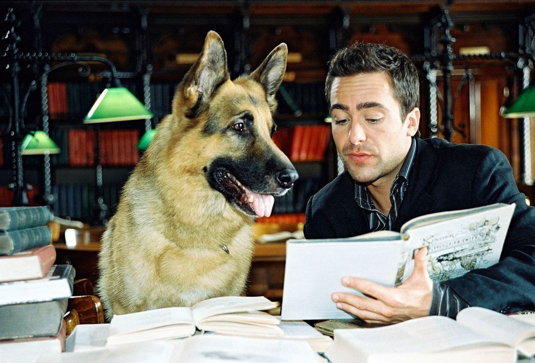Marc (Alexander Pschill) und Rex ziehen in diesem ungewöhnlichen Fall Märchenbücher zu Rate. - Bildquelle: Sat.1